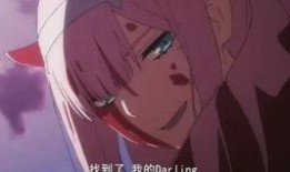 比翼之吻免费吃瓜,免费吃瓜，共享甜蜜瞬间