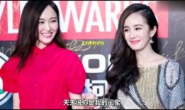 娱乐圈花姐爆料事件视频,揭秘幕后真相